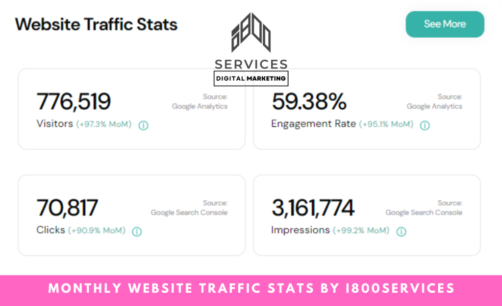 monthly website traffic stats by i800services