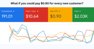 Google ad - ppc optimization